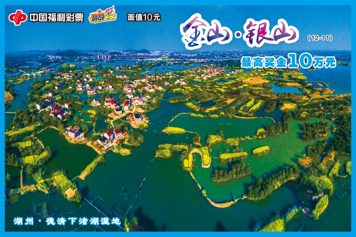 金山银山11