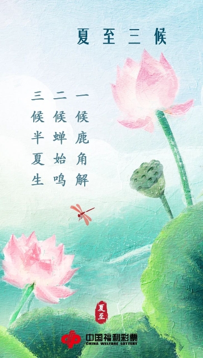 825021_700x700 (1)