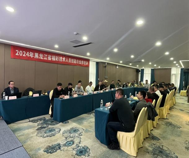 图片5