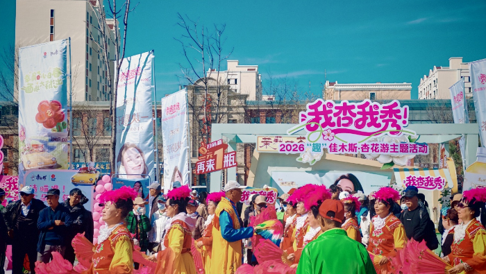 图片4